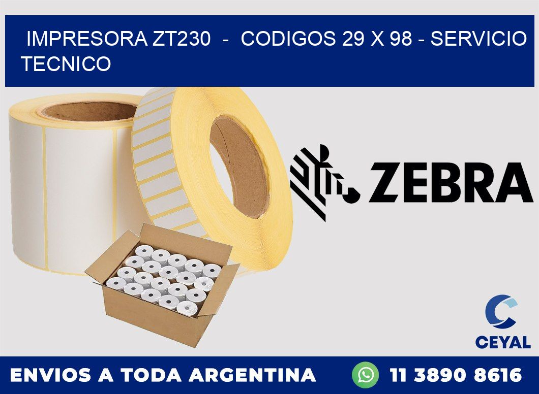 IMPRESORA ZT230 - CODIGOS 29 x 98 - SERVICIO TECNICO