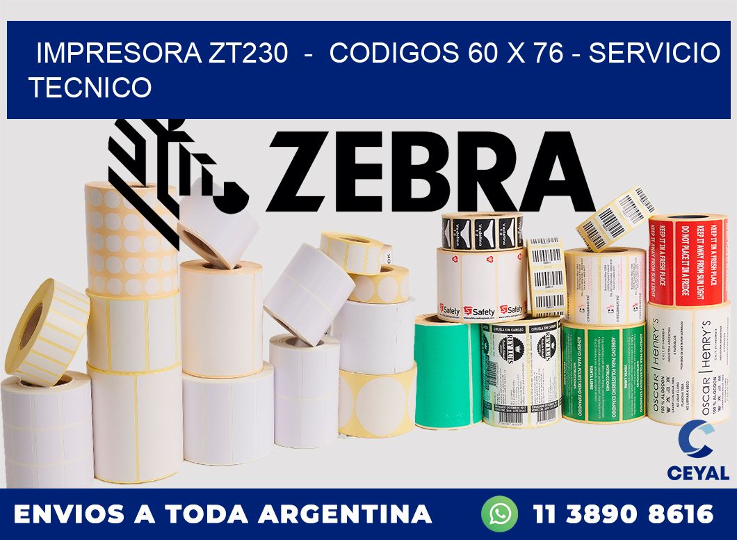 IMPRESORA ZT230 - CODIGOS 60 x 76 - SERVICIO TECNICO