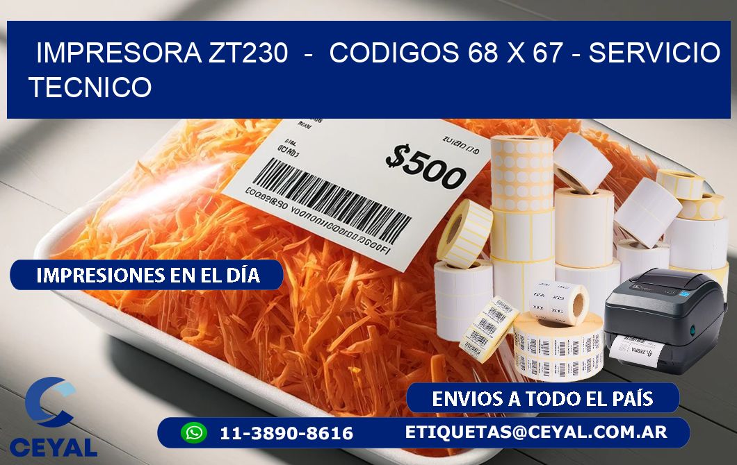 IMPRESORA ZT230 - CODIGOS 68 x 67 - SERVICIO TECNICO