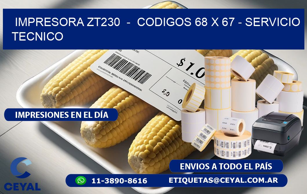 IMPRESORA ZT230 - CODIGOS 68 x 67 - SERVICIO TECNICO
