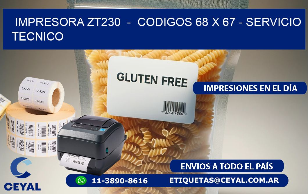 IMPRESORA ZT230 - CODIGOS 68 x 67 - SERVICIO TECNICO
