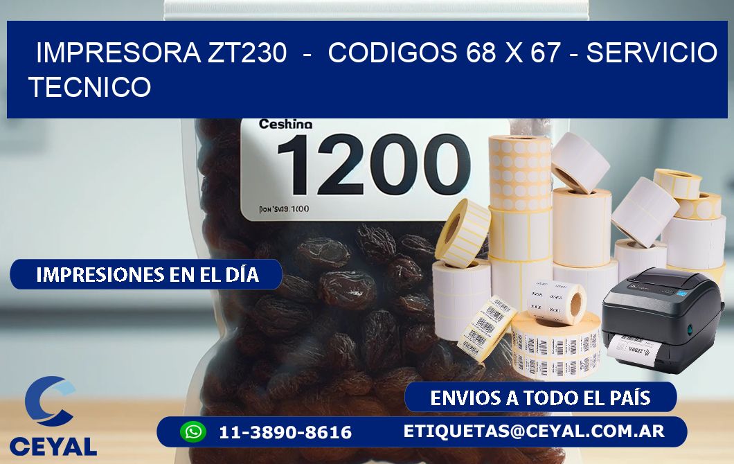 IMPRESORA ZT230 - CODIGOS 68 x 67 - SERVICIO TECNICO