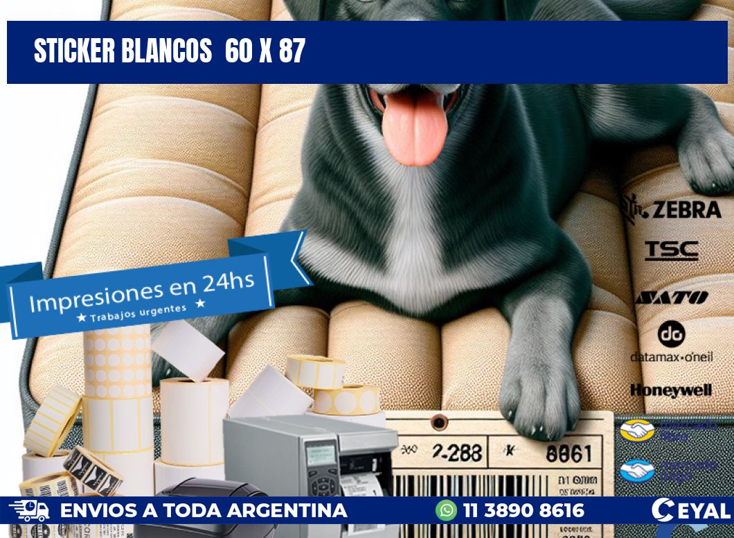 STICKER BLANCOS 60 x 87