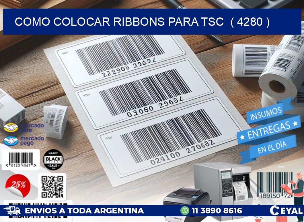 COMO COLOCAR RIBBONS PARA TSC ( 4280 )