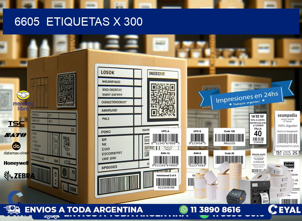 6605 ETIQUETAS X 300