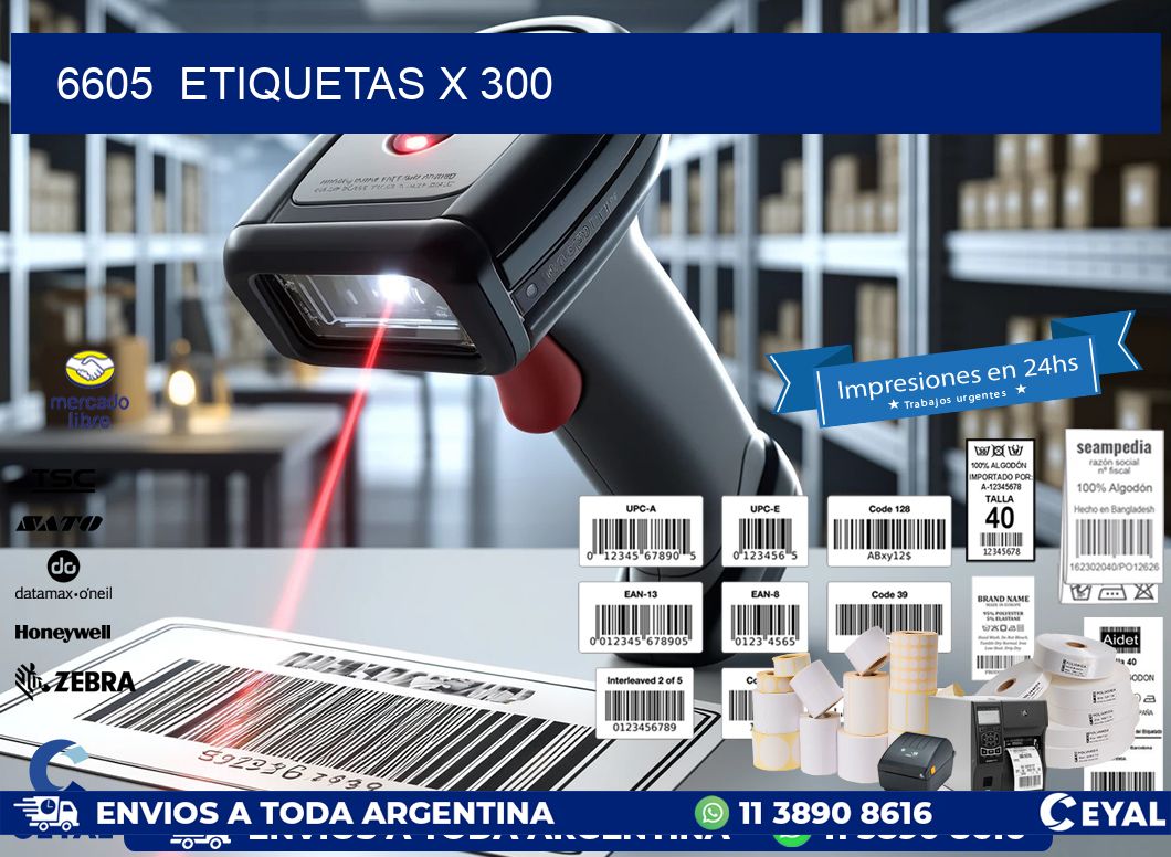 6605 ETIQUETAS X 300