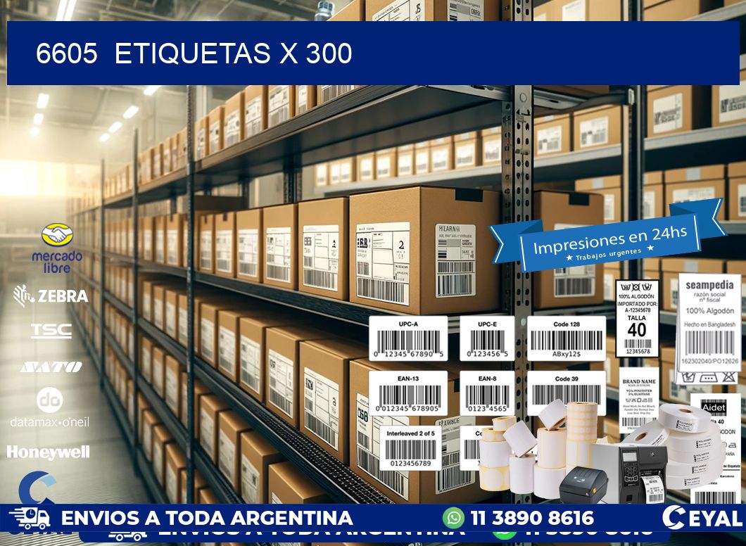 6605 ETIQUETAS X 300