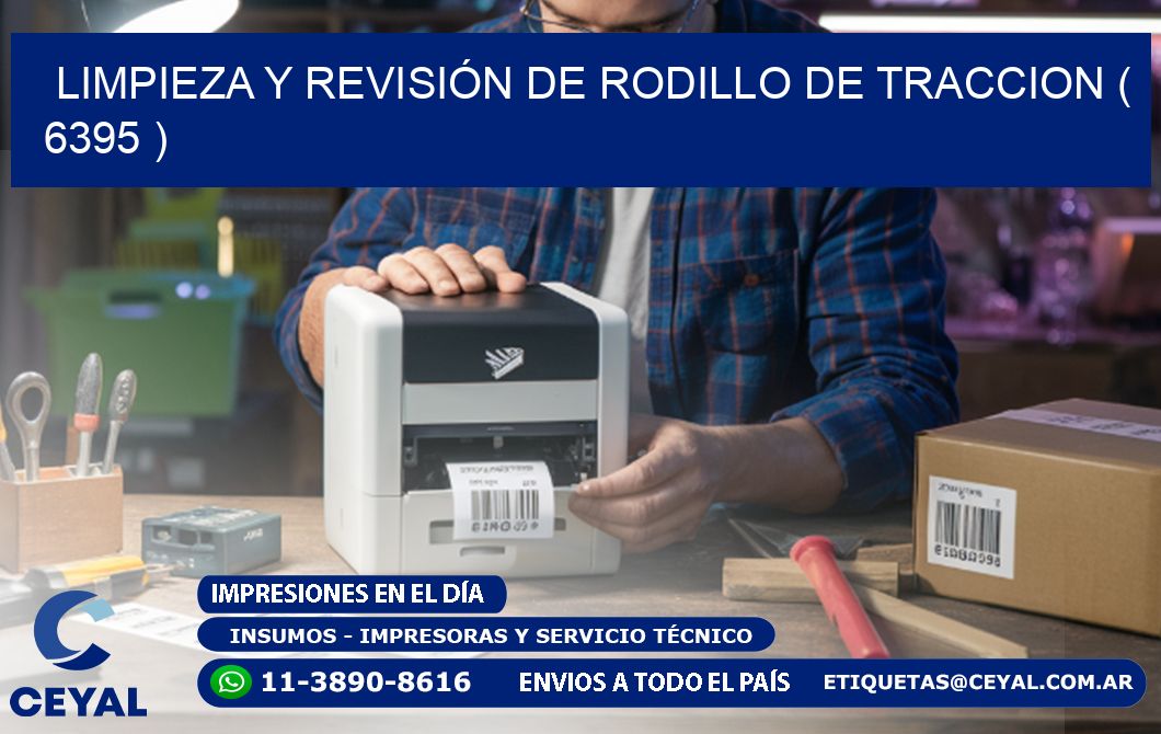 LIMPIEZA Y REVISIÓN DE RODILLO DE TRACCION ( 6395 )