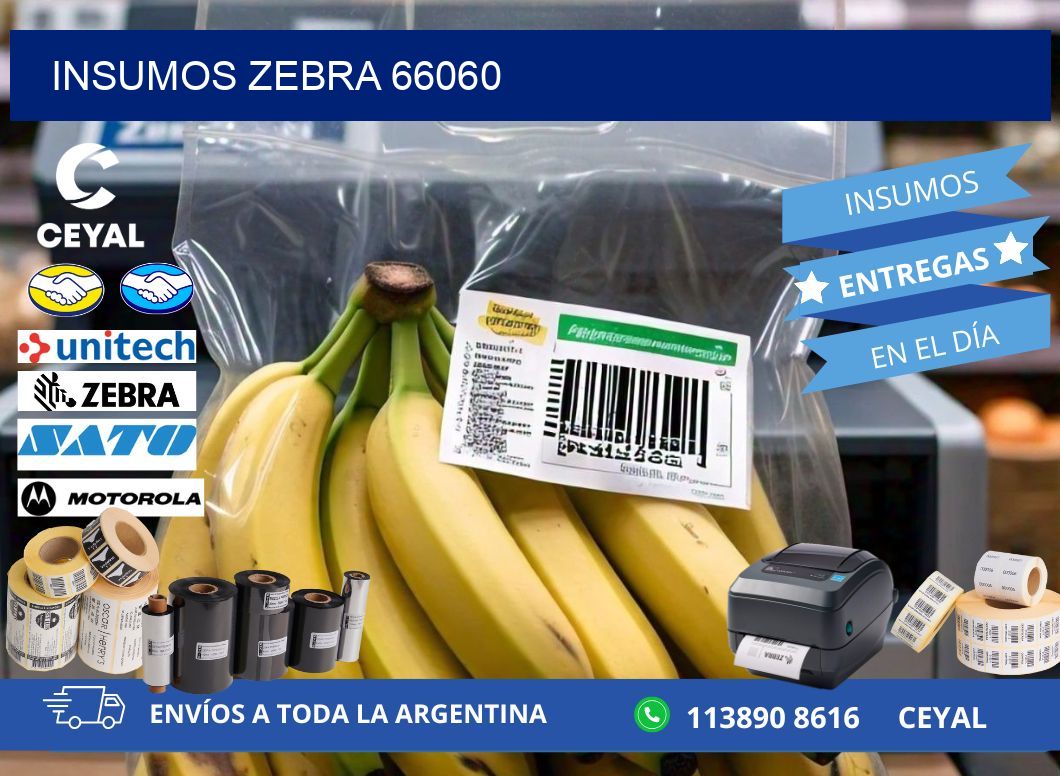INSUMOS ZEBRA 66060