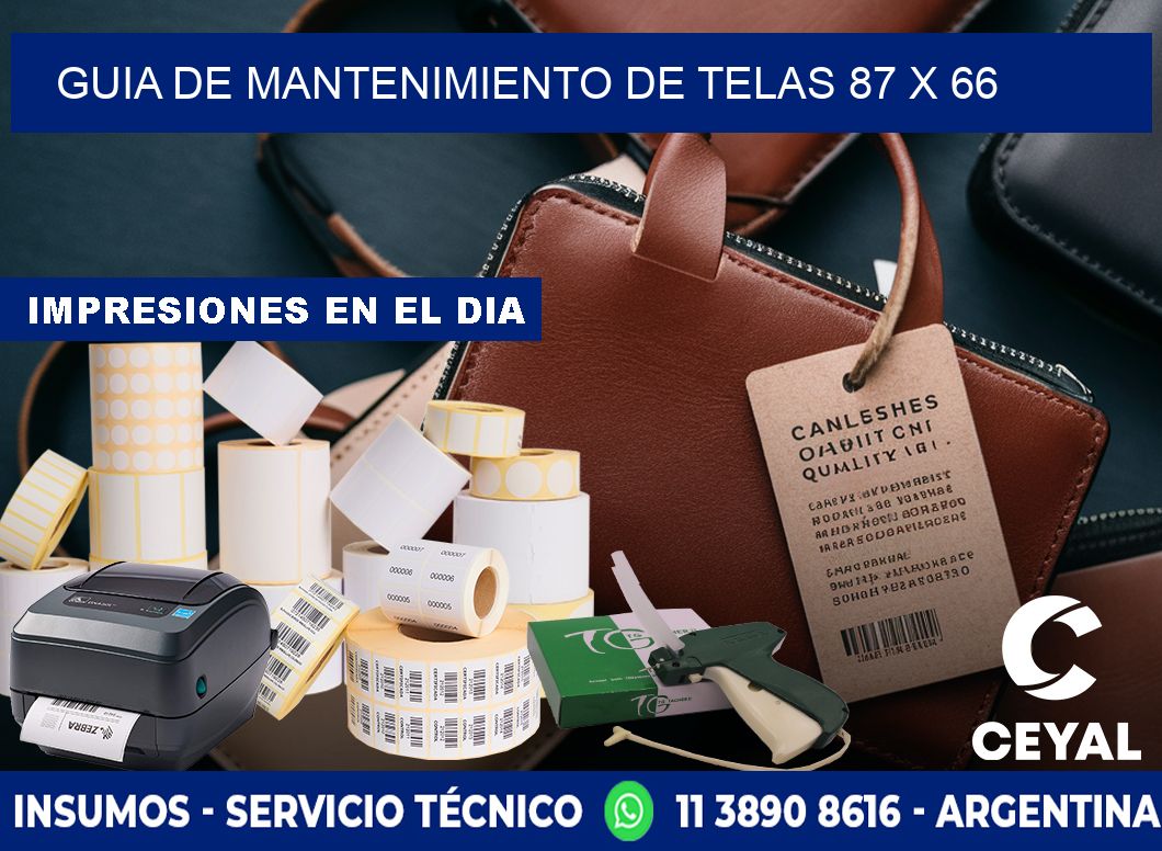 Guia de Mantenimiento de Telas 87 x 66