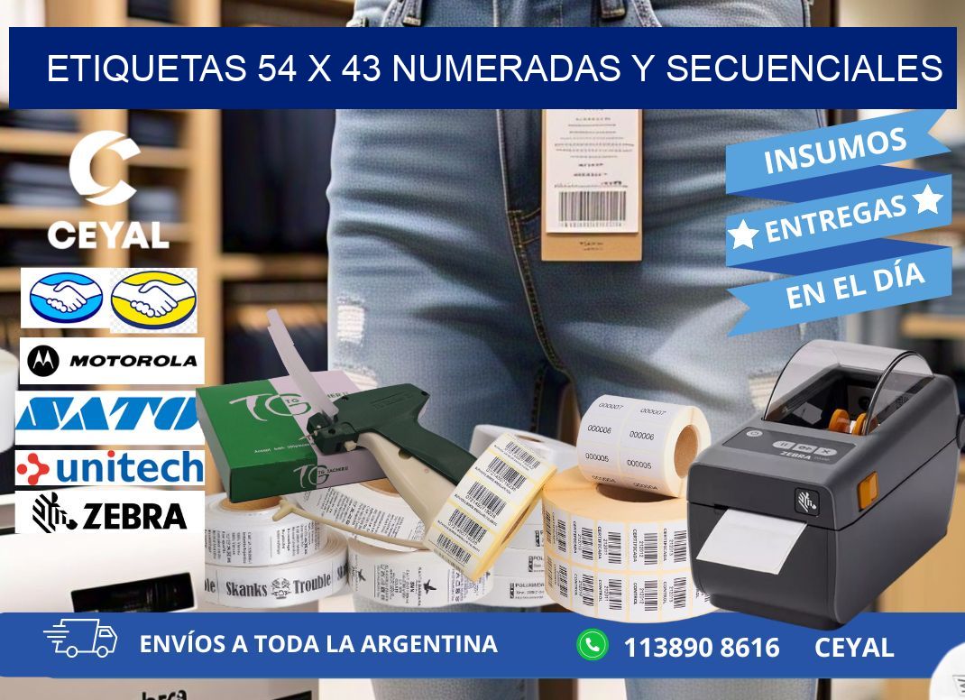 Etiquetas 54 x 43 Numeradas y Secuenciales
