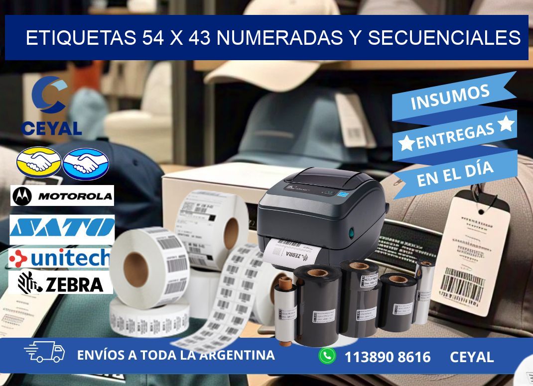 Etiquetas 54 x 43 Numeradas y Secuenciales