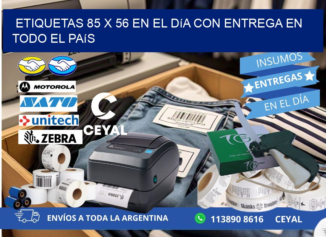 Etiquetas 85 x 56 en el Día con Entrega en Todo el País