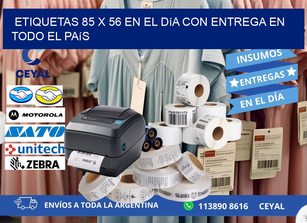 Etiquetas 85 x 56 en el Día con Entrega en Todo el País