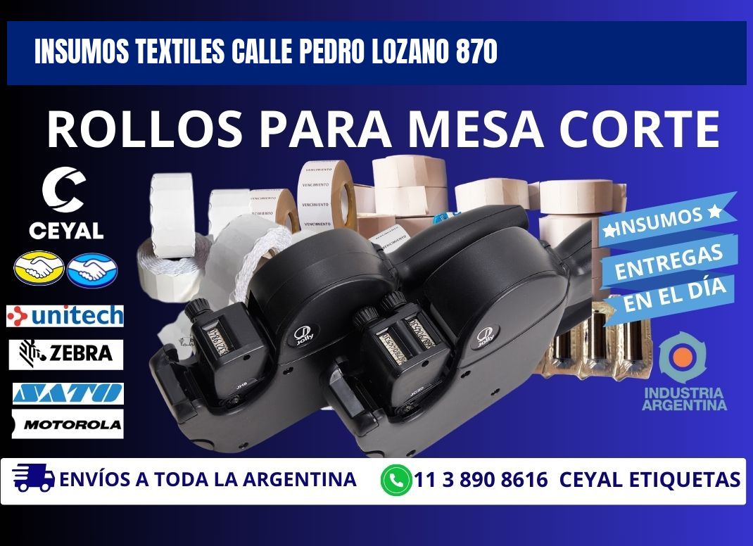 INSUMOS TEXTILES CALLE PEDRO LOZANO 870