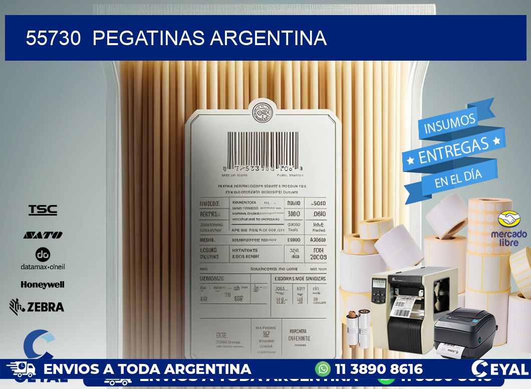 55730 Pegatinas Argentina