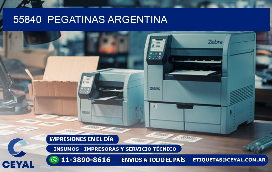 55840 Pegatinas Argentina