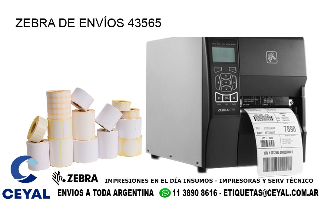 ZEBRA DE ENVÍOS 43565