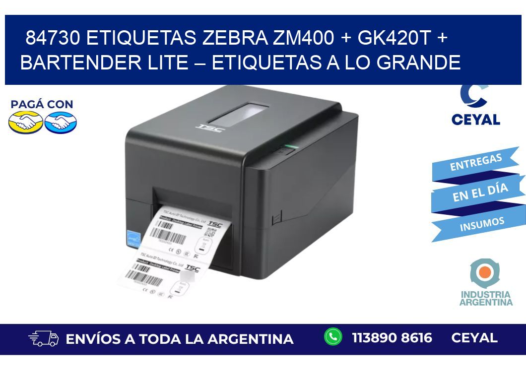 84730 ETIQUETAS Zebra ZM400 + GK420T + BarTender Lite – Etiquetas a lo grande