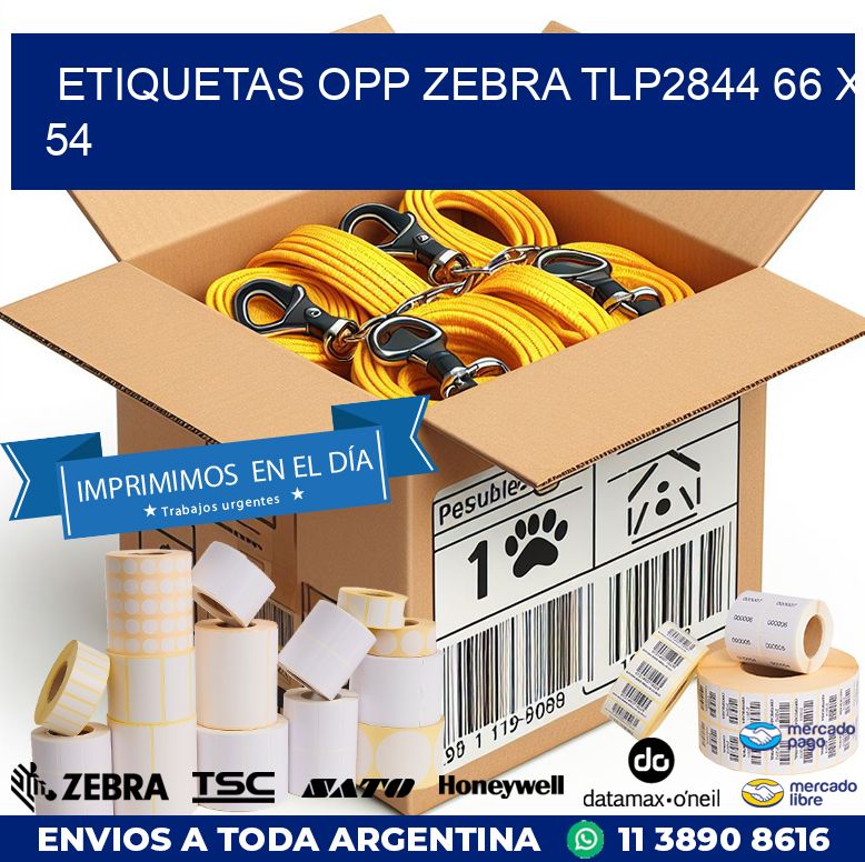 ETIQUETAS OPP ZEBRA TLP2844 66 x 54
