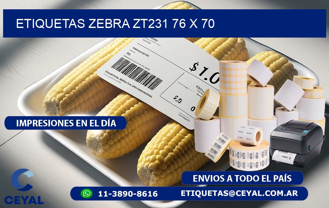 ETIQUETAS Zebra ZT231 76 x 70