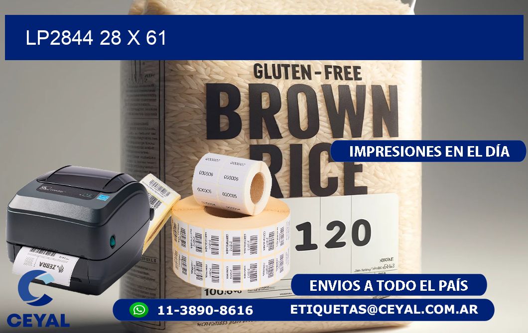 LP2844 28 x 61