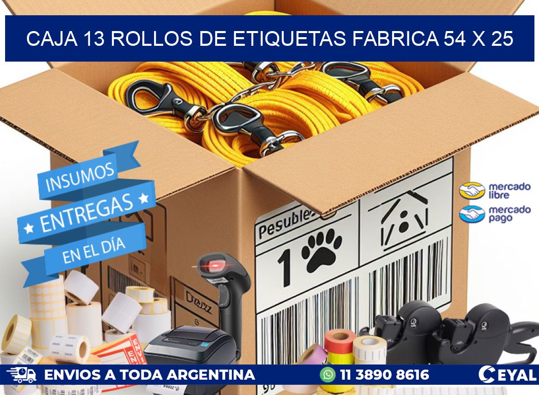 CAJA 13 ROLLOS DE ETIQUETAS FABRICA 54 x 25