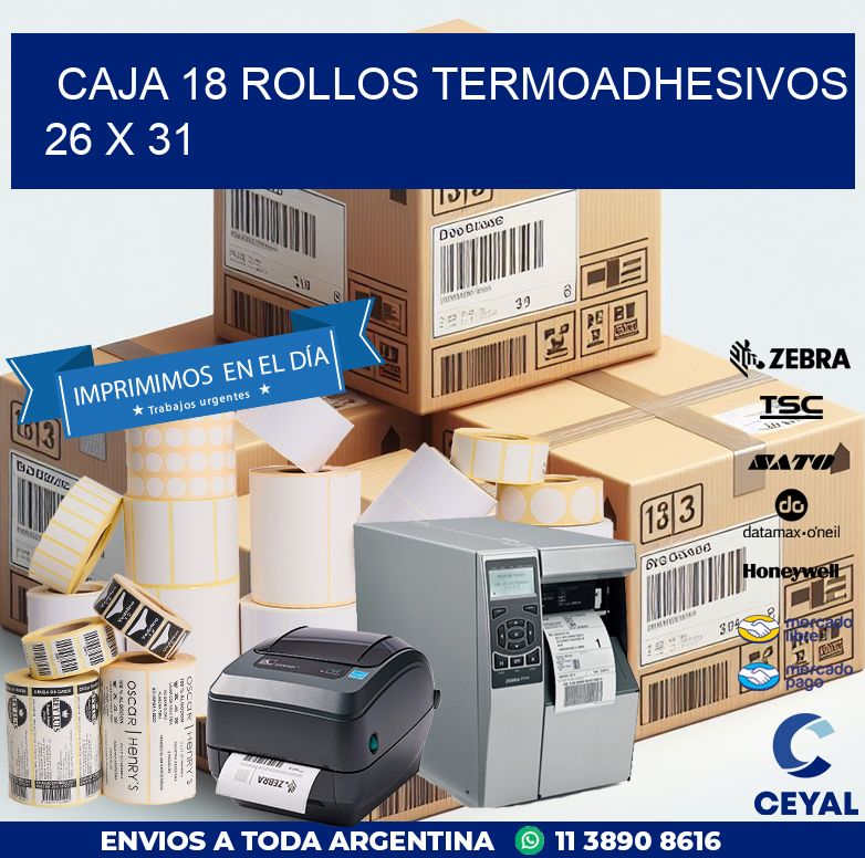 CAJA 18 ROLLOS TERMOADHESIVOS 26 x 31
