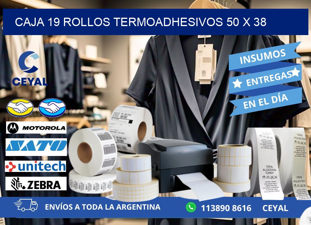 CAJA 19 ROLLOS TERMOADHESIVOS 50 x 38