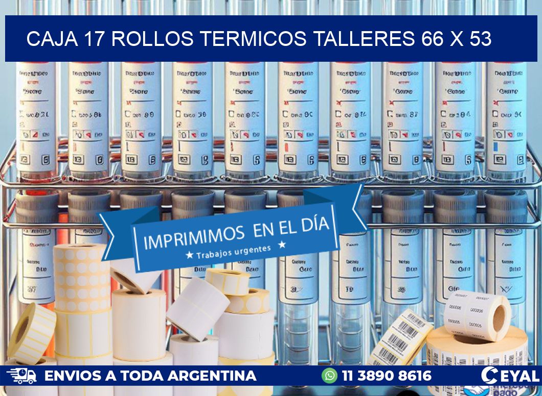 CAJA 17 ROLLOS TERMICOS TALLERES 66 x 53