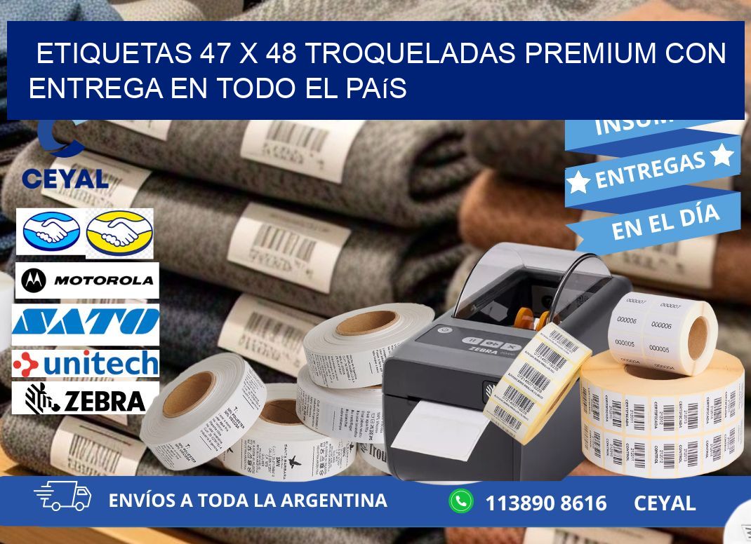 Etiquetas 47 x 48 troqueladas premium con entrega en todo el país
