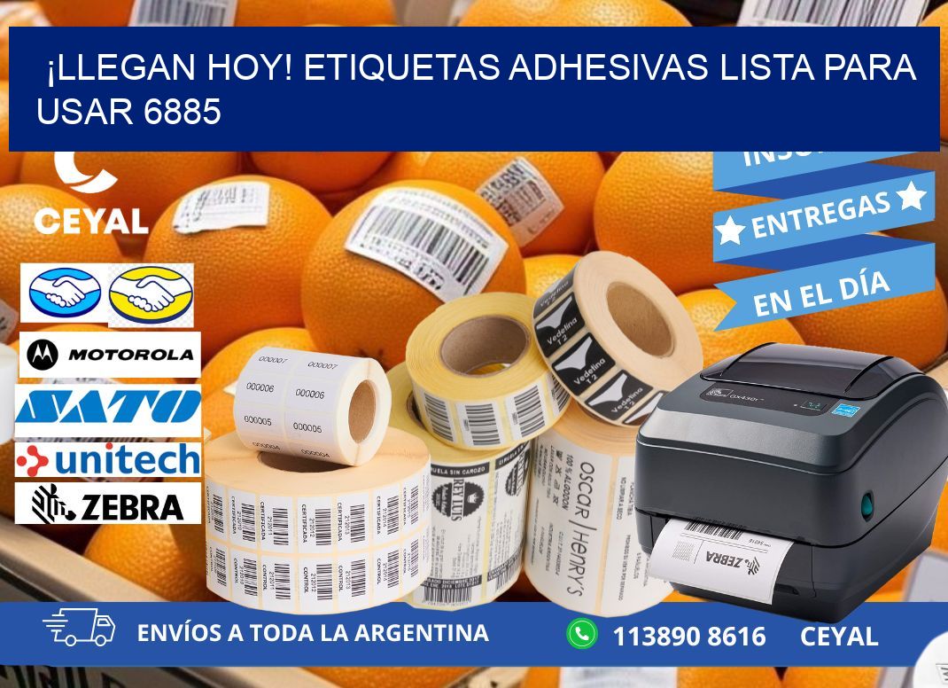 ¡Llegan Hoy! Etiquetas Adhesivas Lista para Usar 6885