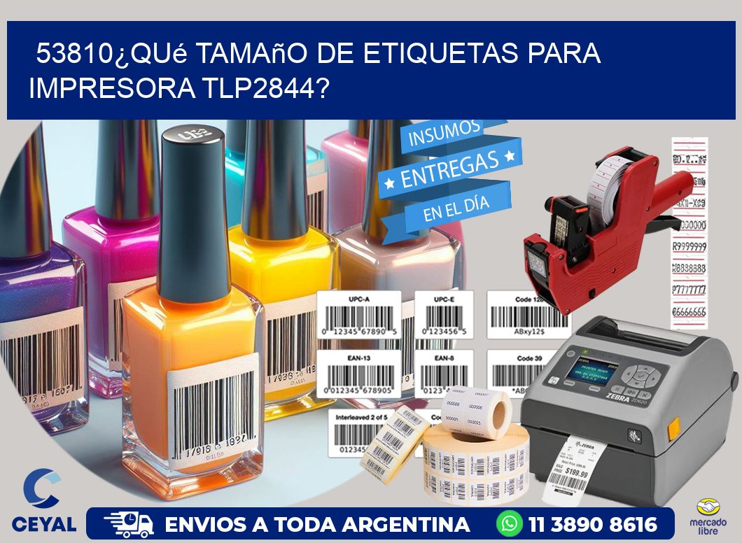 53810¿Qué tamaño de etiquetas para  impresora tlp2844?