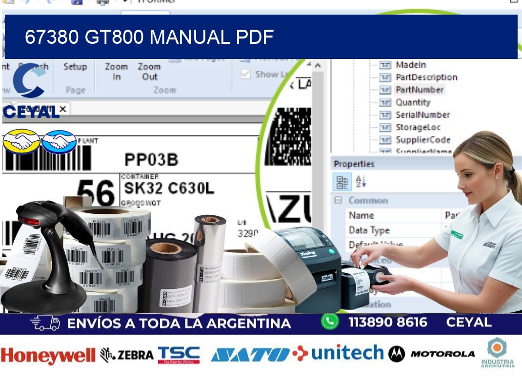 67380 GT800 manual PDF