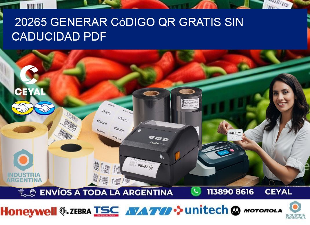 20265 Generar código QR gratis sin caducidad PDF