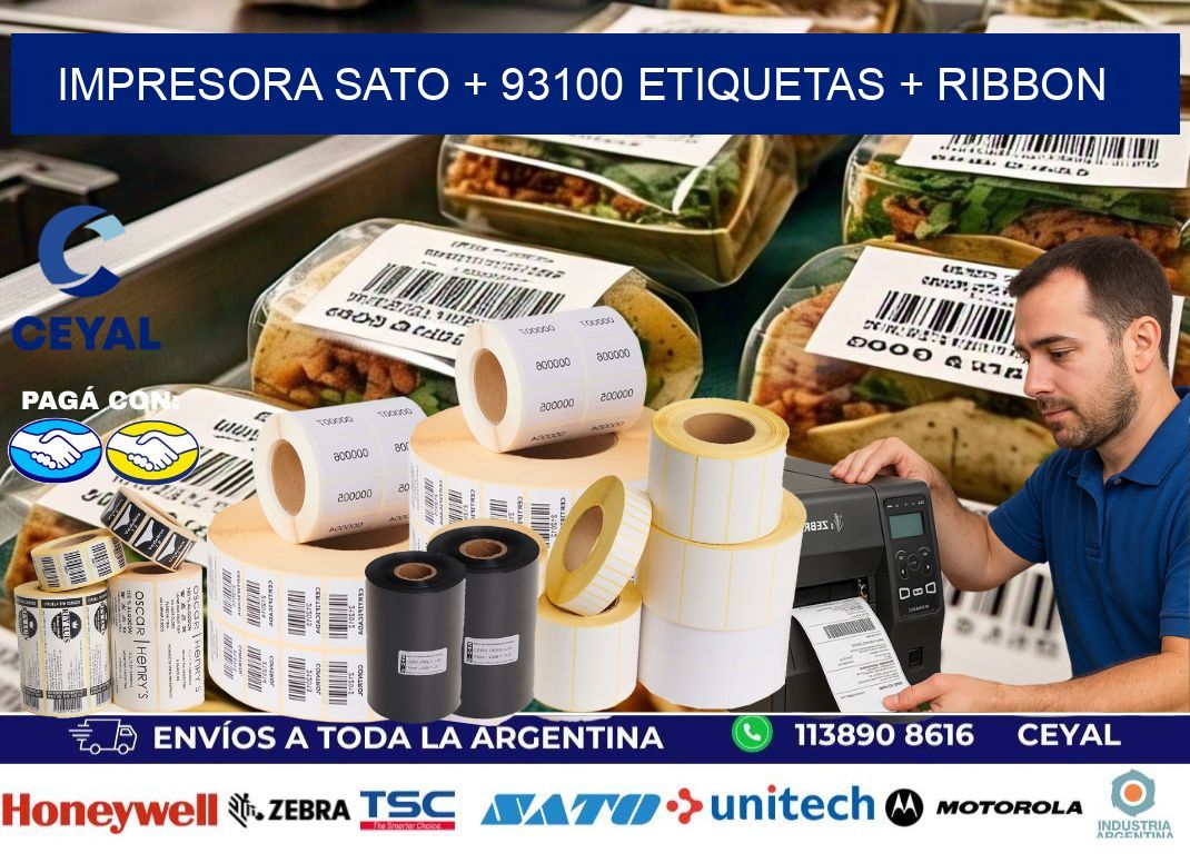 impresora SATO + 93100 etiquetas + ribbon