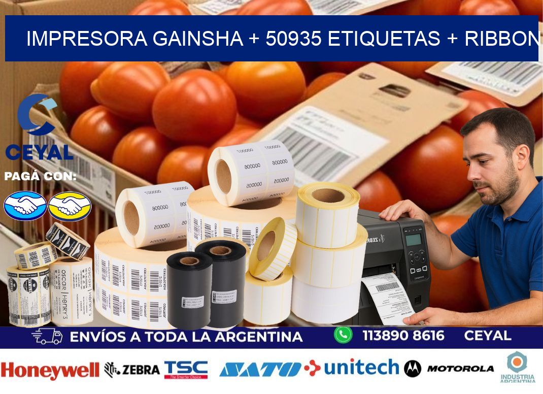 impresora gainsha + 50935 etiquetas + ribbon