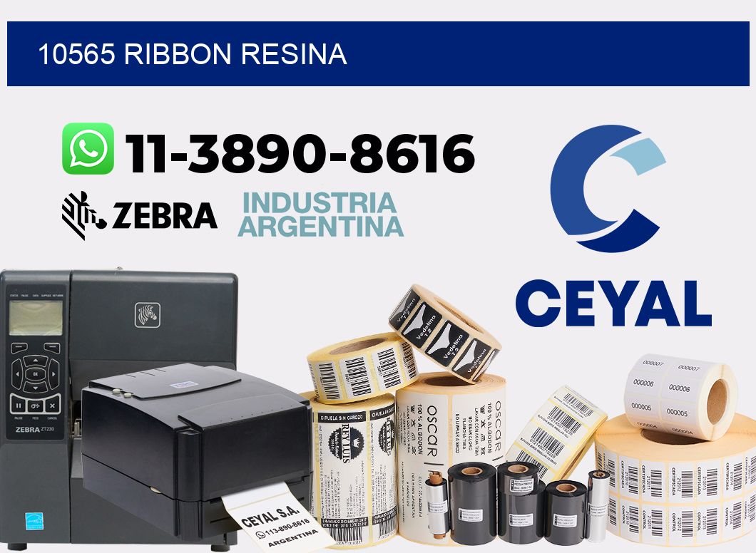 10565 ribbon resina