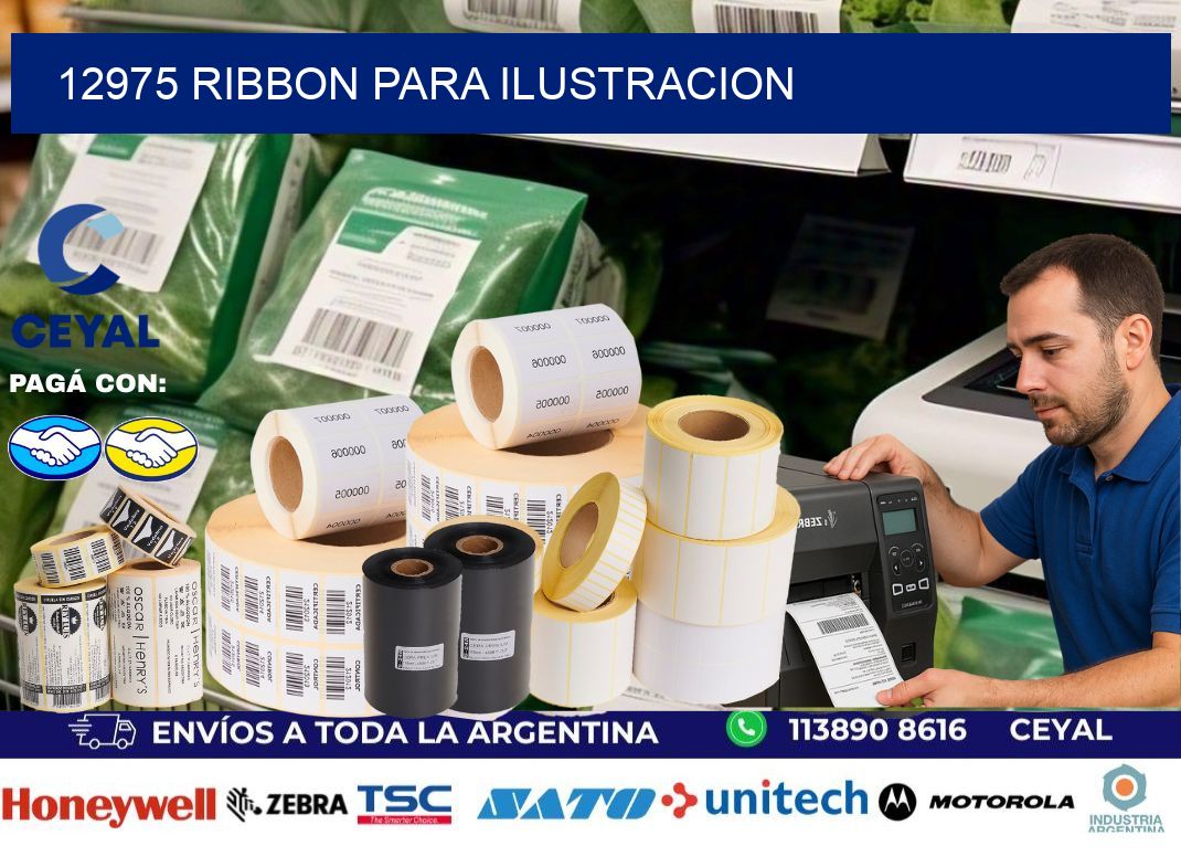 12975 ribbon para ilustracion