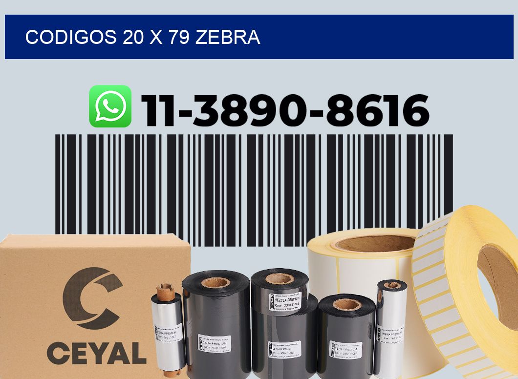 codigos 20 x 79 zebra