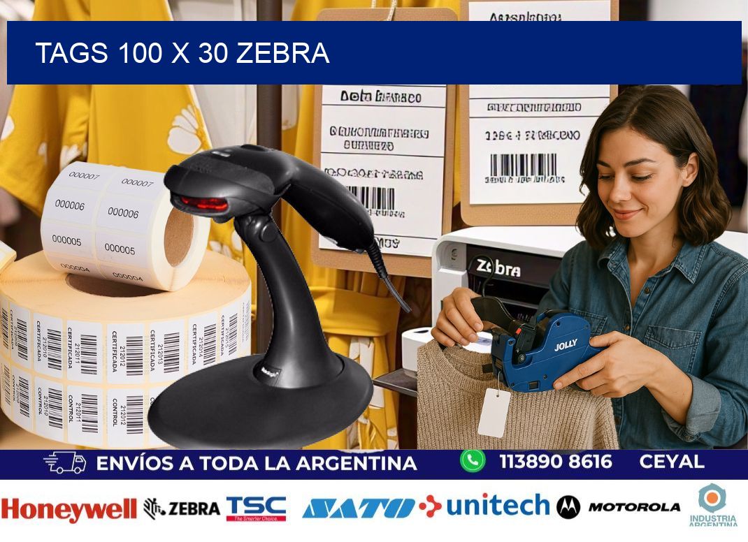 tags 100 x 30 zebra