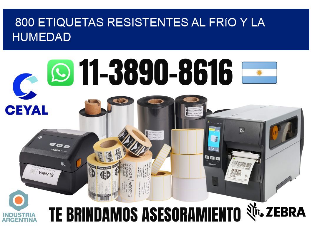 800 Etiquetas resistentes al frío y la humedad