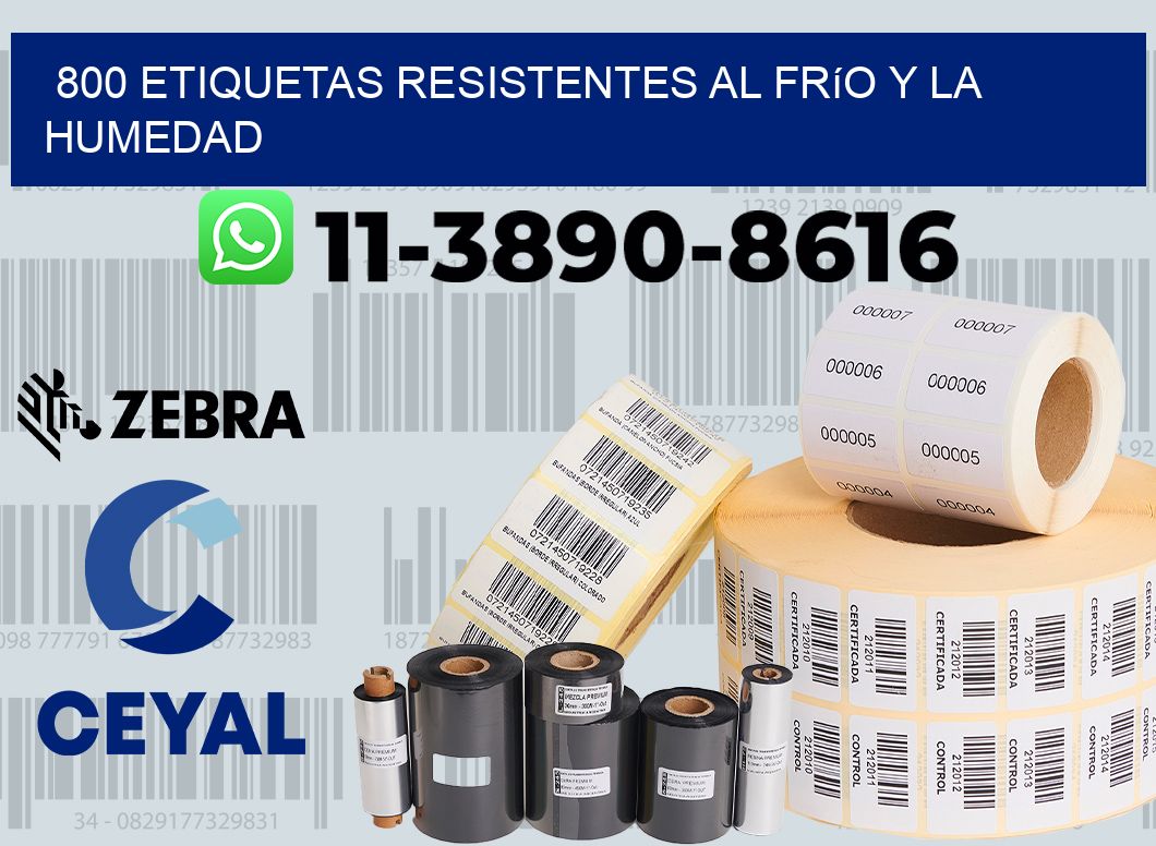 800 Etiquetas resistentes al frío y la humedad