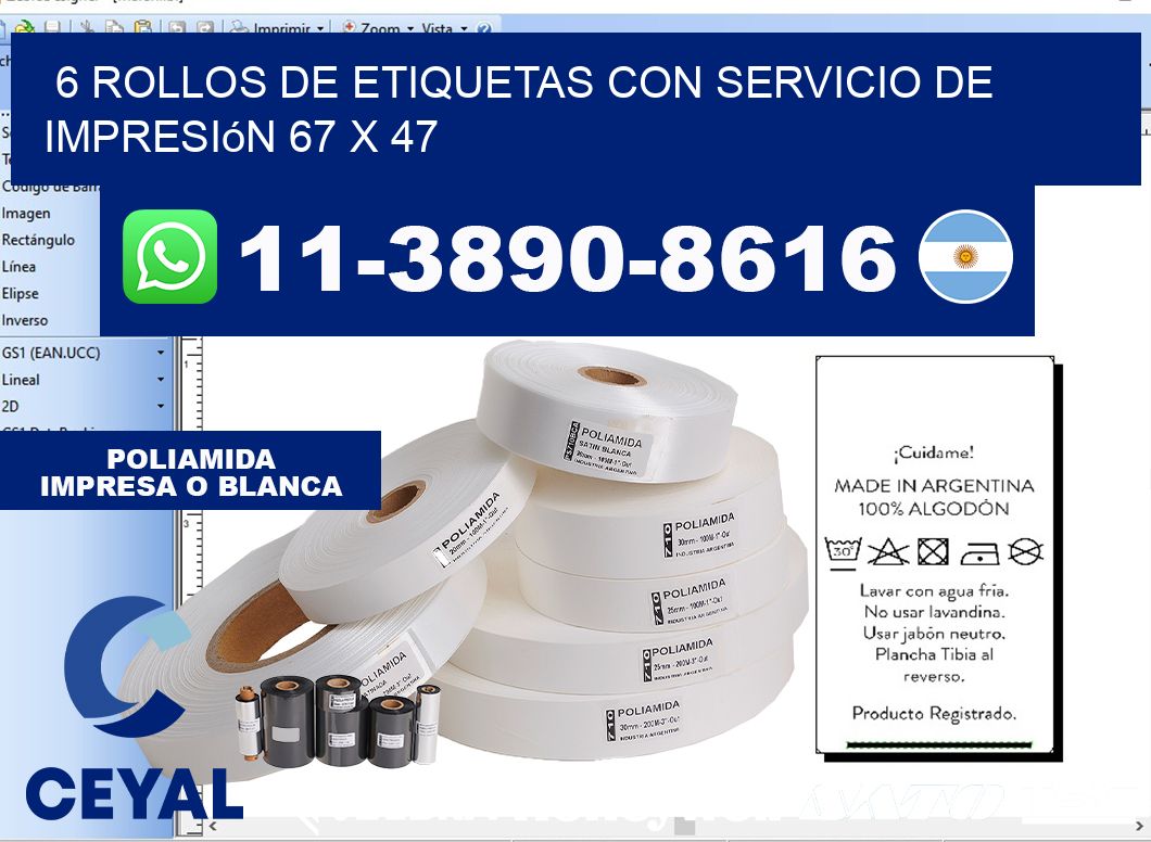 6 rollos de etiquetas con servicio de impresión 67 x 47
