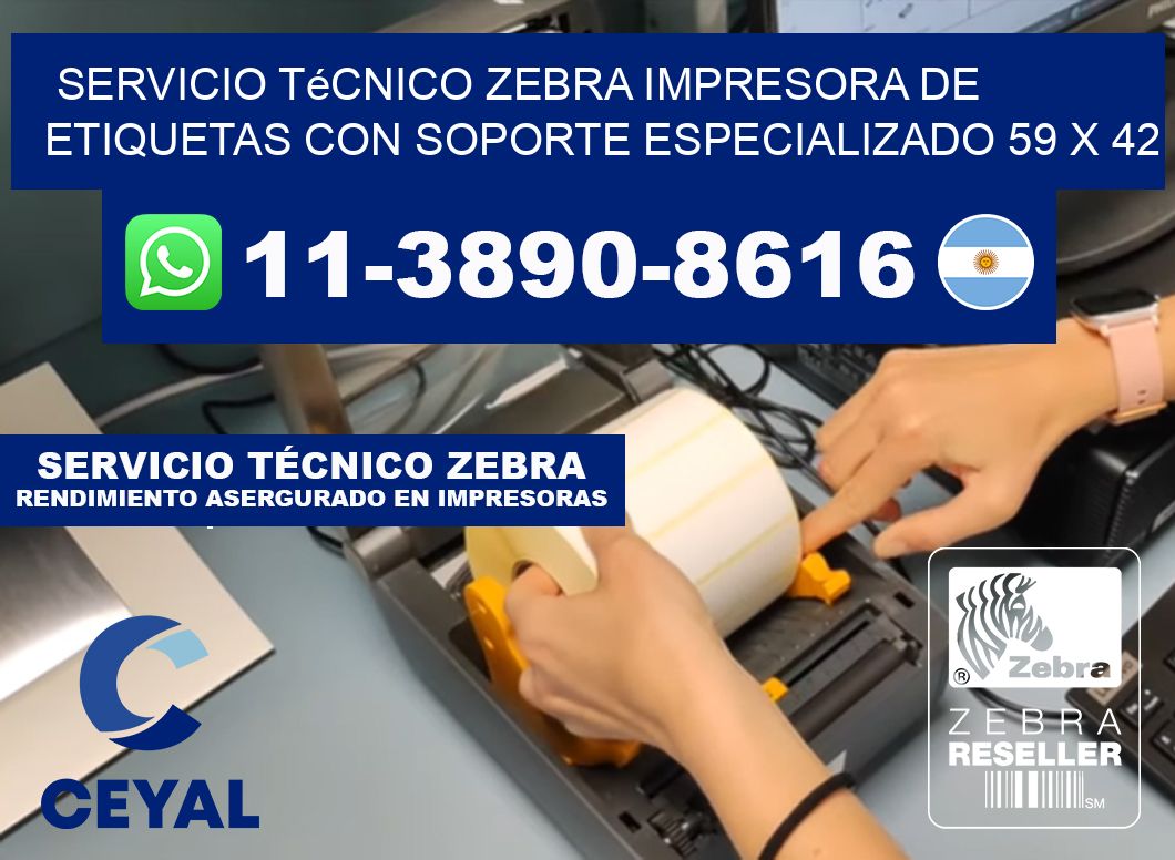 Servicio Técnico Zebra Impresora de Etiquetas con Soporte Especializado 59 x 42