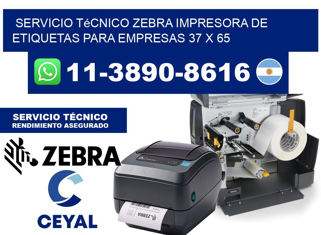 Servicio Técnico Zebra Impresora de Etiquetas para Empresas 37 x 65