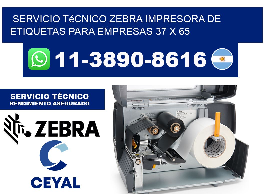 Servicio Técnico Zebra Impresora de Etiquetas para Empresas 37 x 65