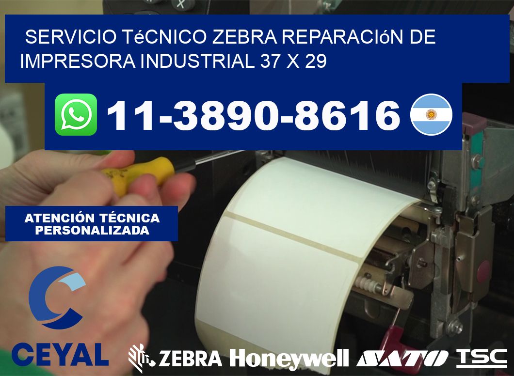 Servicio Técnico Zebra Reparación de Impresora Industrial 37 x 29