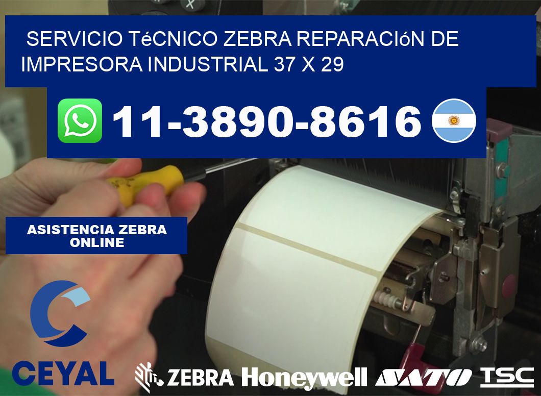 Servicio Técnico Zebra Reparación de Impresora Industrial 37 x 29