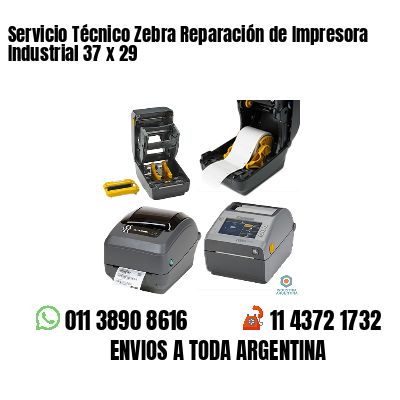 Servicio Técnico Zebra Reparación de Impresora Industrial 37 x 29